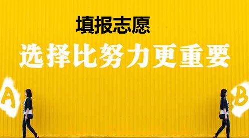 过来人告诉你心知肚明 高考填报志愿的十大关系帮你填志愿