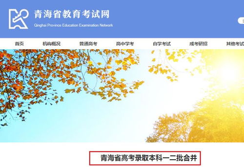 2020年青海省高考志愿填报系统密码重置及查询申请表操作指南